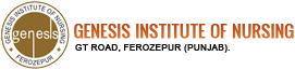 Genesis Institute of Nursing