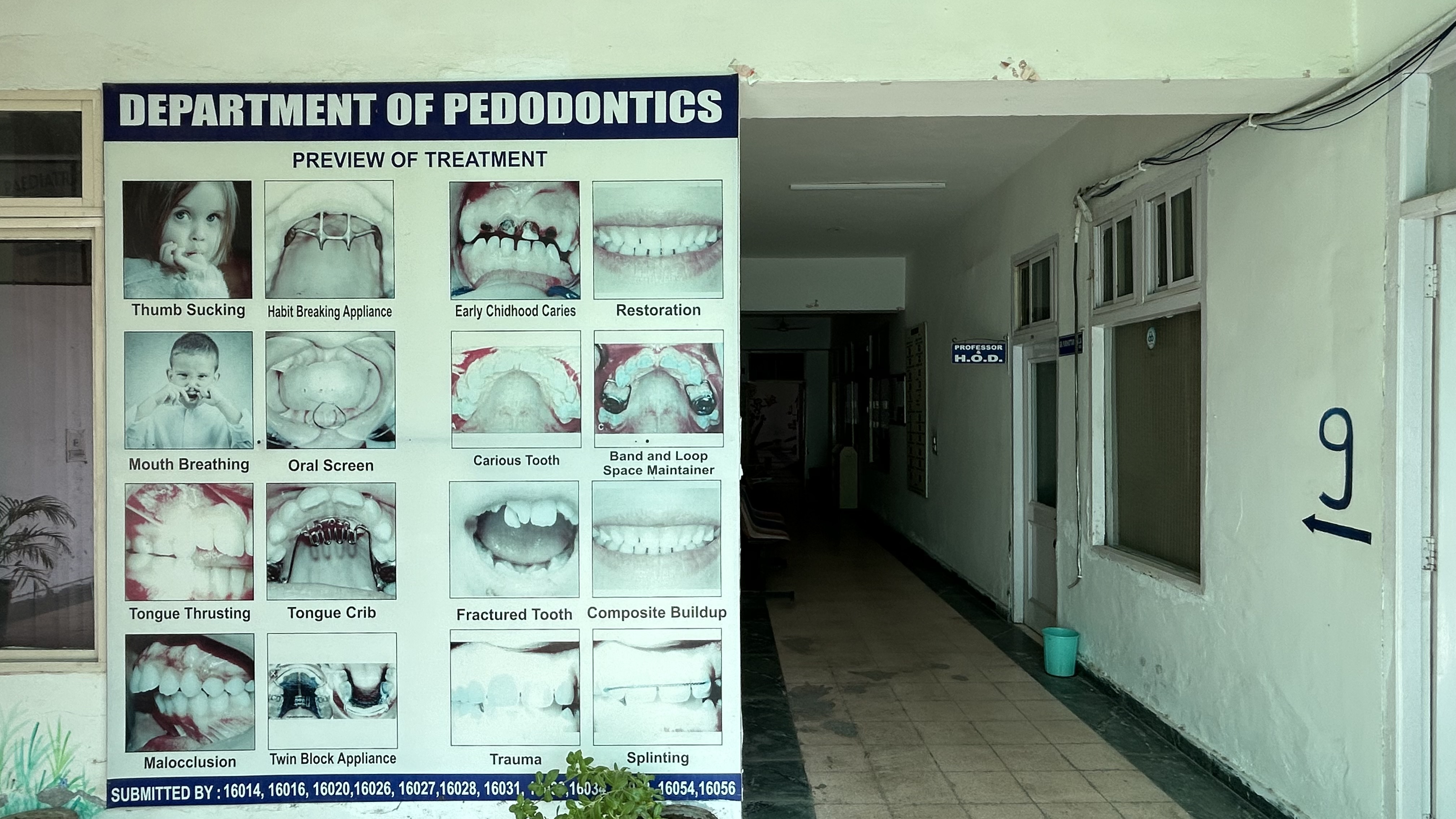 Pedodontics & Preventive Dentistry